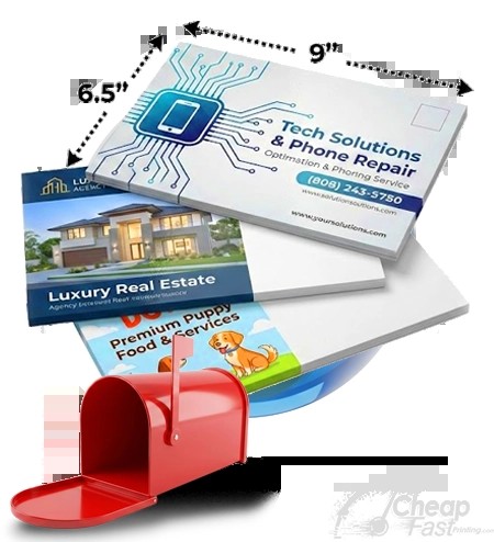 6 5x9 Oversized Neighborhood Flyer