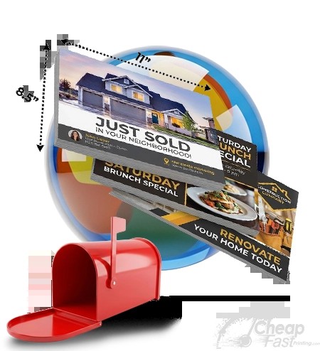 8 5x11 Full Page Letter Circular