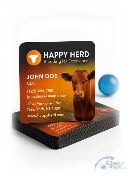 2500 Best Value Square 2x2 38pt Trifecta Black Animal Breeder Business Cards