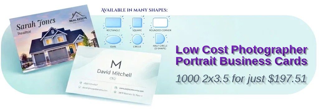 1000 Low Cost Die Cut 2x3.5 38pt Trifecta Blue Photographer Portrait Business Cards