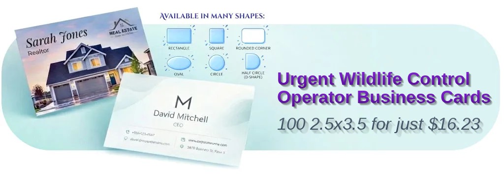 100 Urgent Oval 2.5x3.5 38pt Trifecta Red Wildlife Control Operator Business Cards