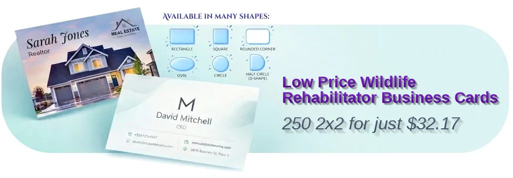 250 Low Price Rounded Corners 2x2 18pt Premium Kraft Wildlife Rehabilitator Business Cards