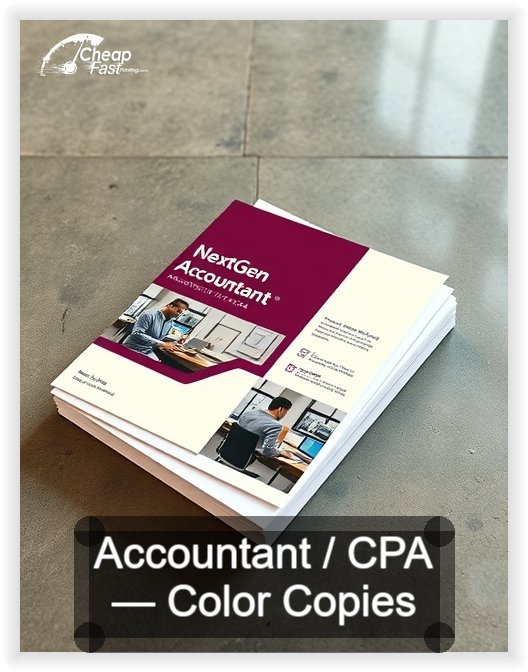 Accountant Cpa business card design sample