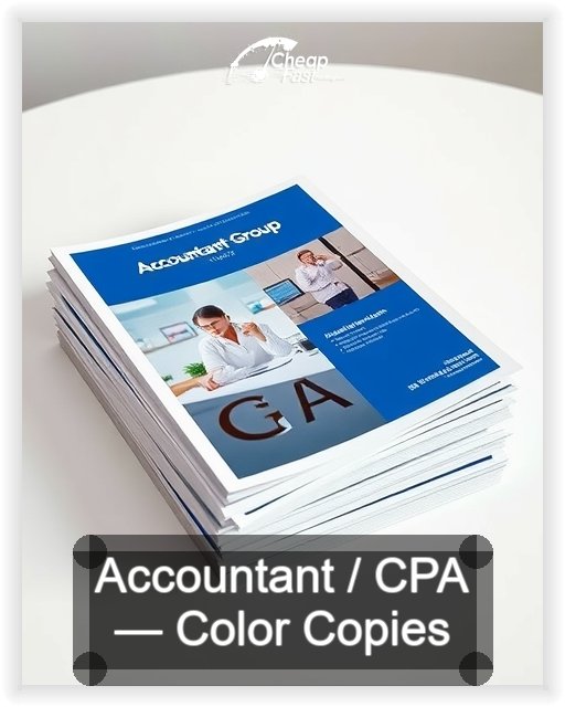 Accountant Cpa business card design sample
