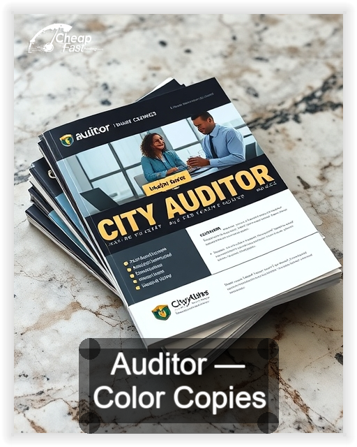 Auditor business card design sample