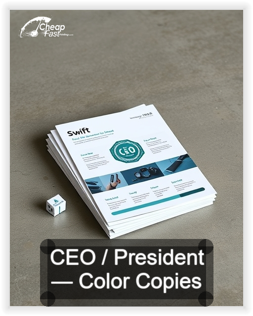 Ceo President business card design sample