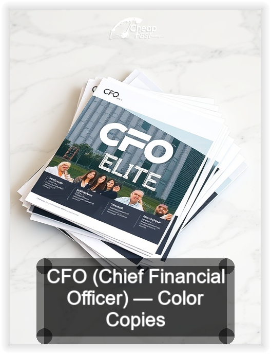 Cfo Chief Financial Officer business card design sample
