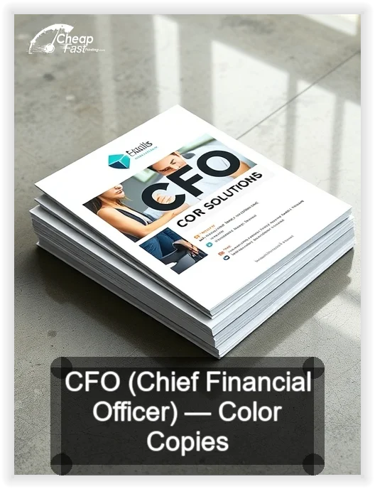 Cfo Chief Financial Officer business card design sample