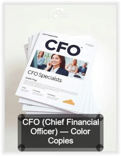 Cfo Chief Financial Officer business card design sample