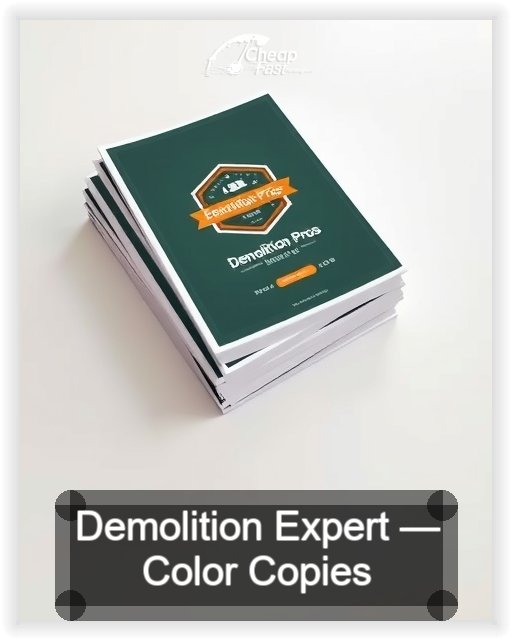 Demolition Expert business card design sample