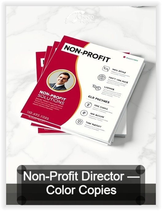 Non Profit Director business card design sample