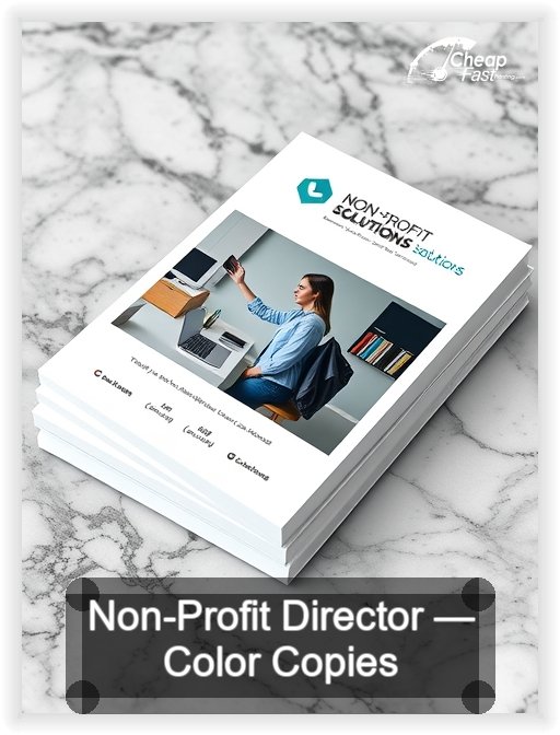 Non Profit Director business card design sample