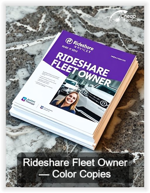 Rideshare Fleet Owner business card design sample