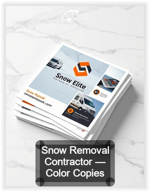 Snow Removal Contractor business card design sample