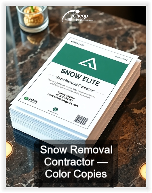 Snow Removal Contractor business card design sample