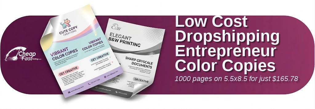 Color copies for Dropshipping Entrepreneur