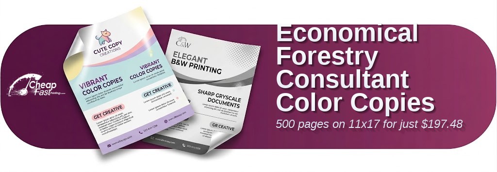500 Economical 11x17 32lb Bond Forestry Consultant Color Copies