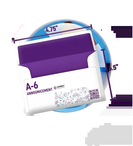 A6 Event Mailing Container