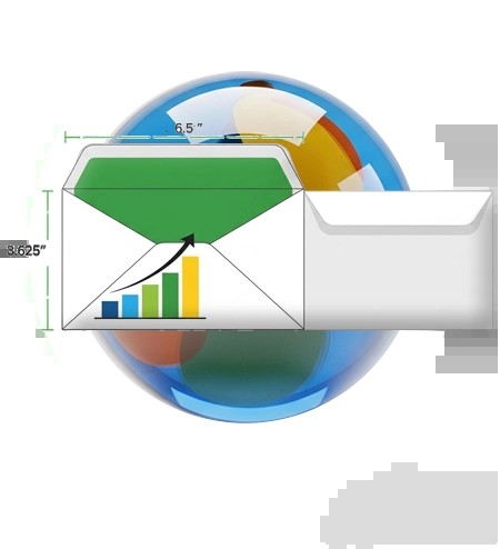 Remittance Fiscal Collection Sleeve