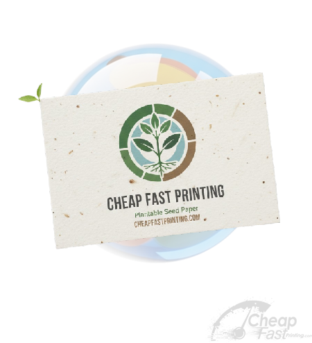 Business Cards Seed Paper Printing