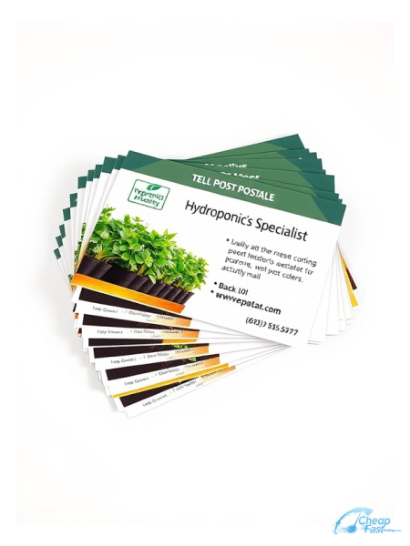 100 Low Rate 6.5x9 100lb Matte Cover Hydroponics Specialist Bulk Postcards