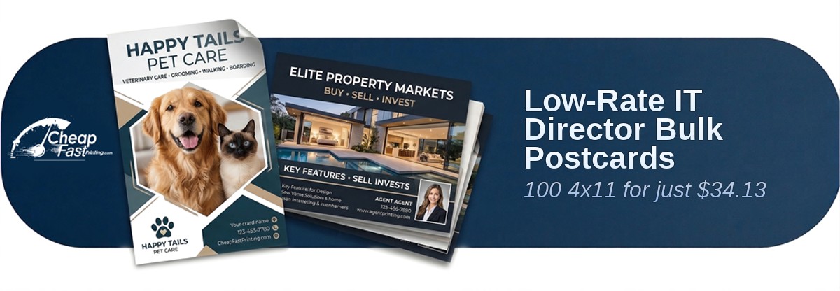 100 Low Rate 4x11 100lb Matte Cover It Director Bulk Postcards