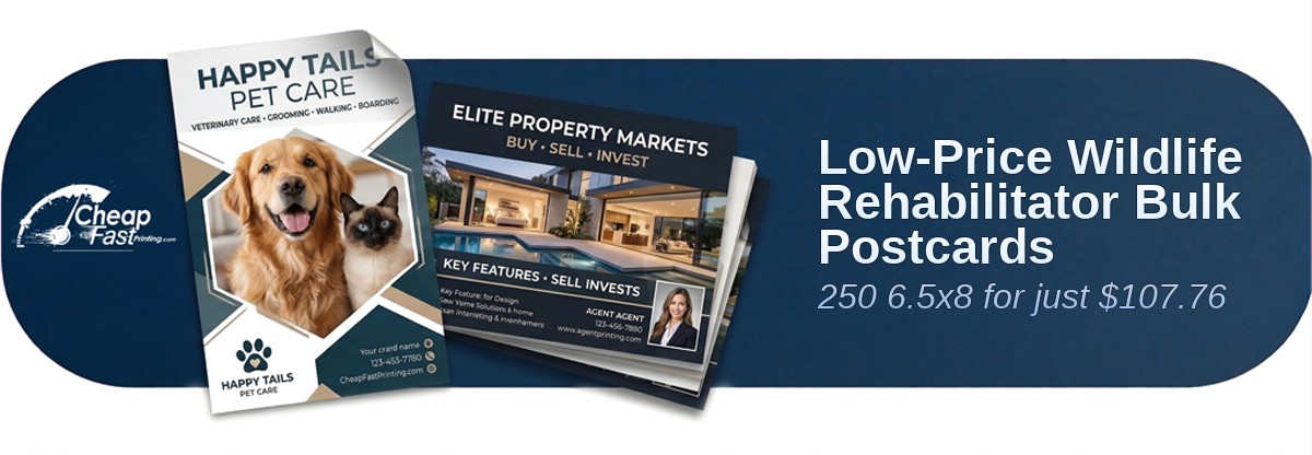 250 Low Price 6.5x8 13pt Premium Linen Wildlife Rehabilitator Bulk Postcards