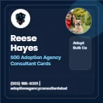 Blueprint Grid Authority Adoption Agency Consultant 2x2 Square