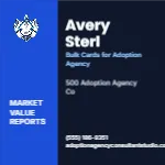 Metro Valuation Navy Adoption Agency Consultant 2x2 Square