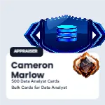 Cornerstone Photo Chip Data Analyst 2x2 Square