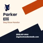 Angled Copper Strata Dog Show Handler 2x2 Square