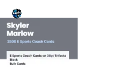 Skyline Band Modern E Sports Coach 2x2 Square