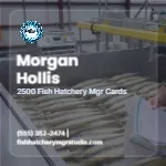 Glassline Property Focus Fish Hatchery Manager 2x2 Square