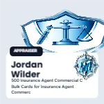 Cornerstone Photo Chip Insurance Agent Commercial 2x2 Square