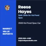 Metro Valuation Navy Koi Pond Specialist 2x2 Square