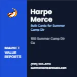 Metro Valuation Navy Summer Camp Director 2x2 Square