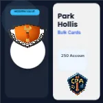 Editorial Slate Portrait Accountant Cpa 2x2