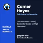 Metro Valuation Navy Bartender 2x2