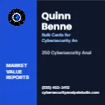 Metro Valuation Navy Cybersecurity Analyst 2x2