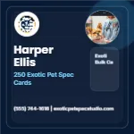 Blueprint Grid Authority Exotic Pet Specialist 2x2