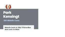 Skyline Band Modern Midwife 2x2