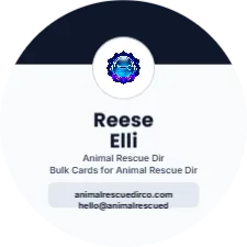 Platinum Seal Modern