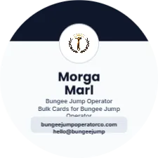 Platinum Seal Modern