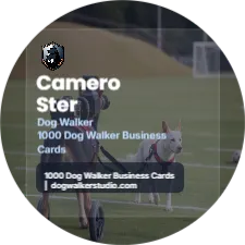 Sapphire Focus Studio