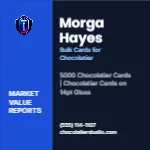 Metro Valuation Navy Chocolatier 3x3