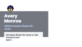 Skyline Band Modern Homeless Shelter Director 3x3