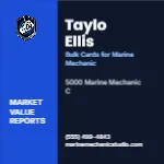 Metro Valuation Navy Marine Mechanic 3x3