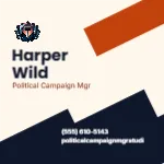 Angled Copper Strata Political Campaign Manager 3x3