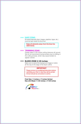 Color Copy 11inx17in V Download Template Guideline - Color Copies